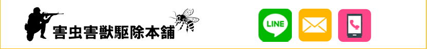 【公式】害虫害獣駆除本舗｜関東エリアのハチ駆除ならお任せください